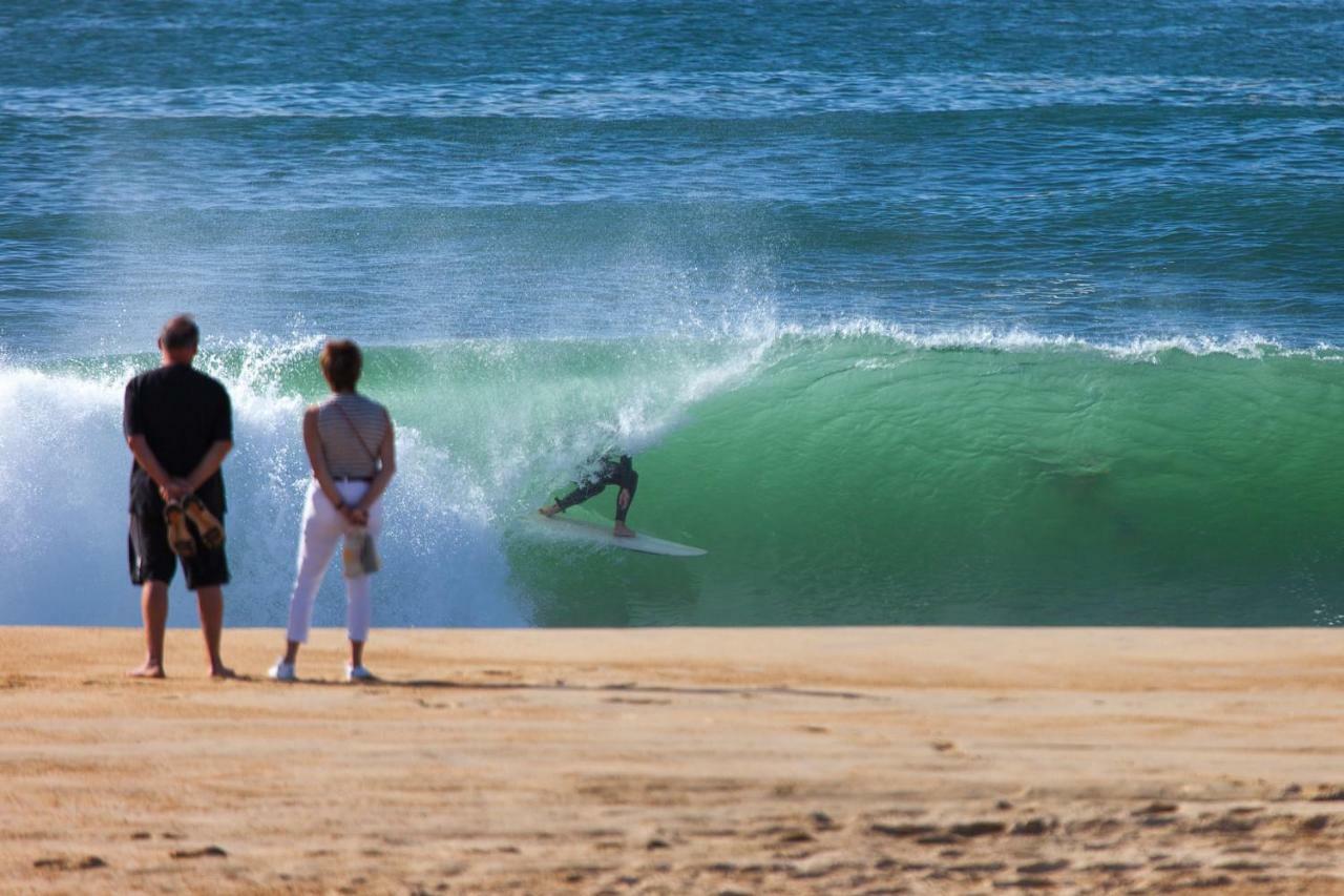 Muskaria Berria Lägenhet Zarautz Exteriör bild