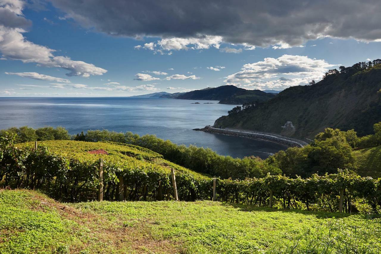 Muskaria Berria Lägenhet Zarautz Exteriör bild